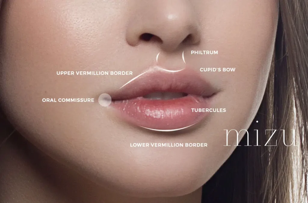 Lip Fillers | Mizu